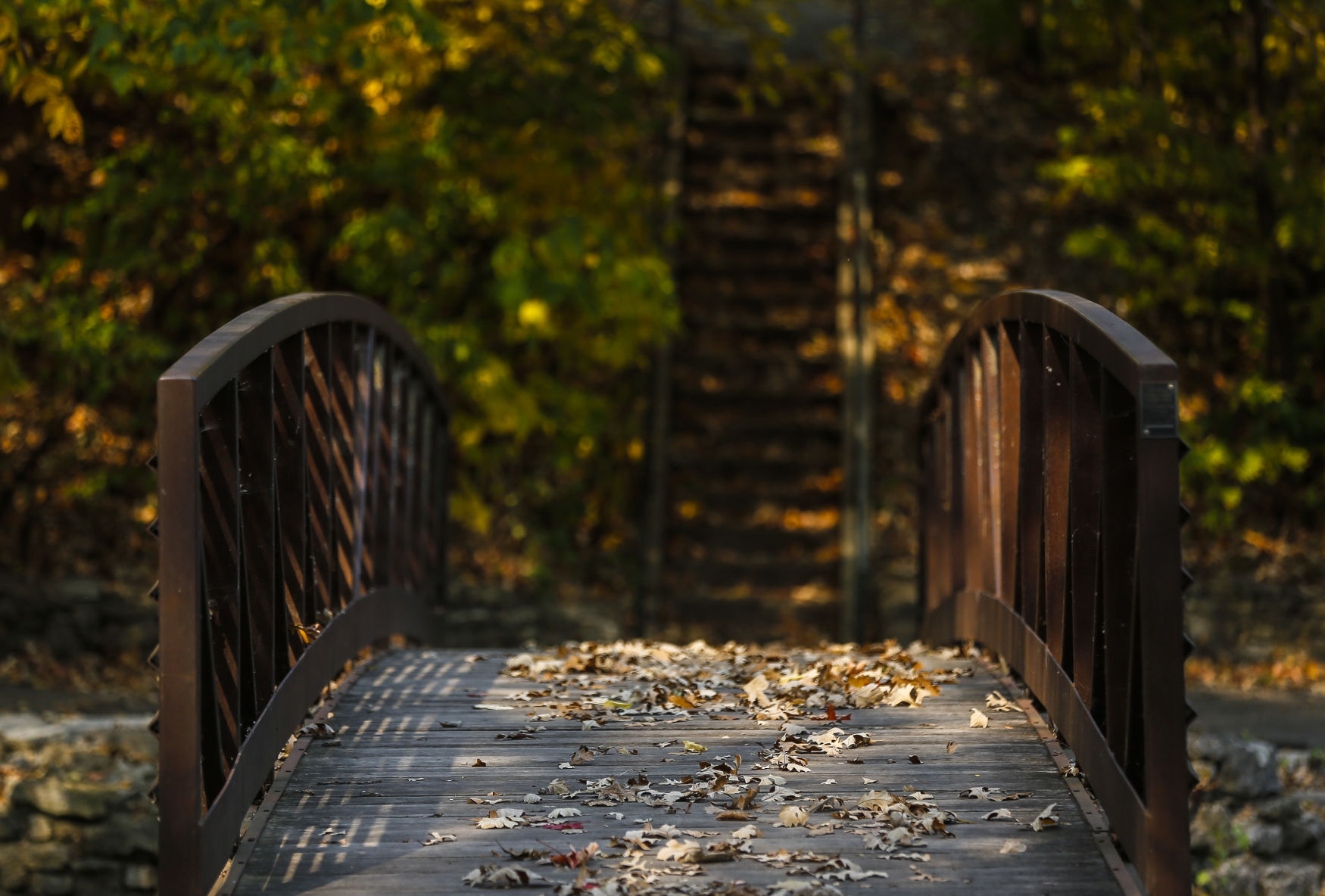Fall